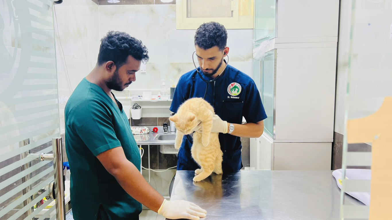 How to Keep Your Pet Healthy During Extreme Weather